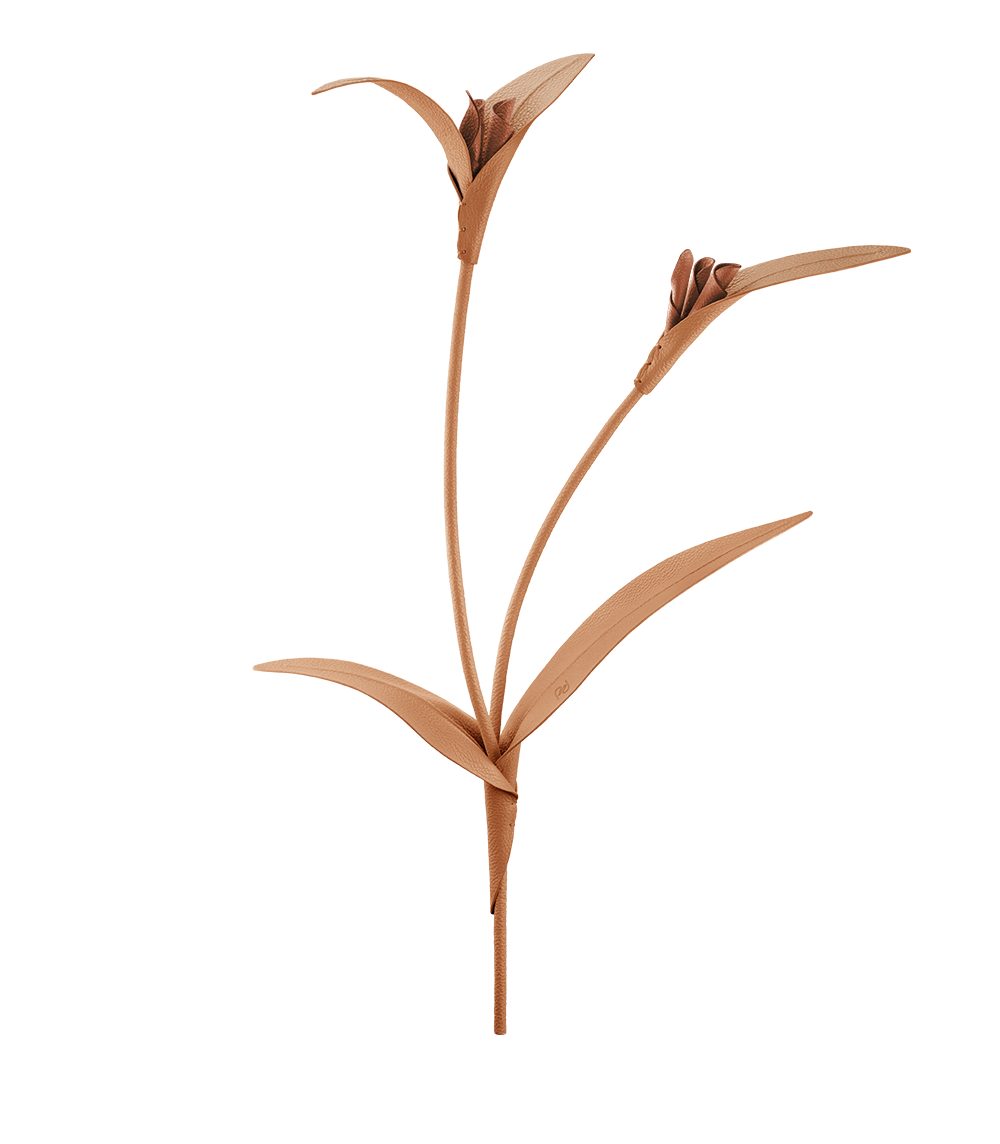 packshot-front_touka-trio-tan