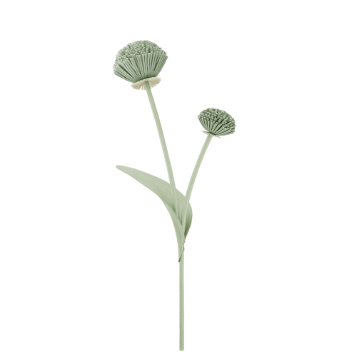 Fleur Tul - Duo Amande Fraîche