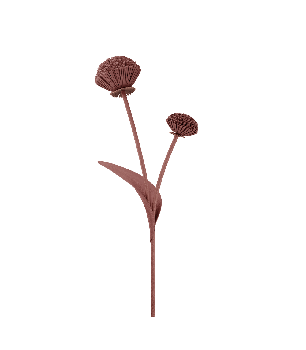 packshot-front_tul-duo-blush