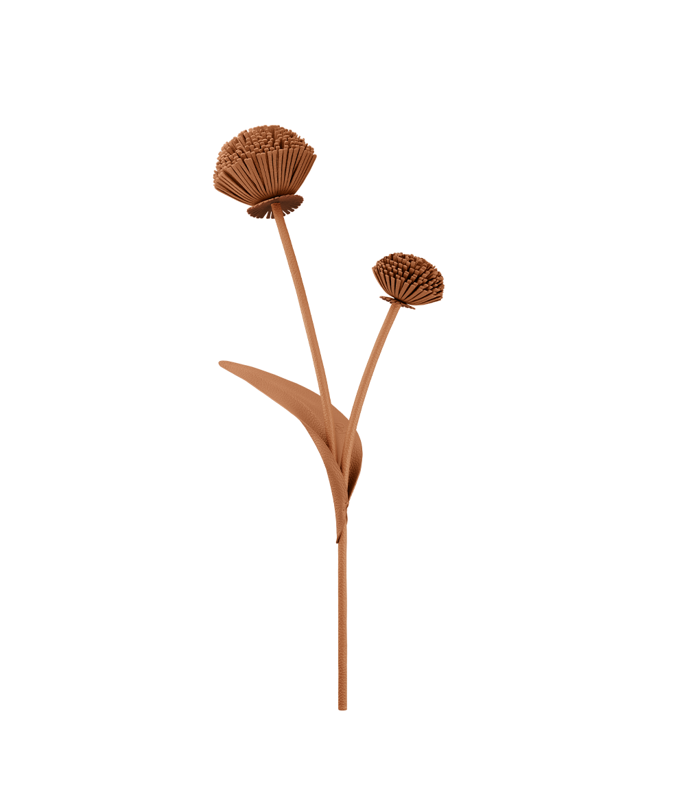 packshot-front_tul-duo-tan